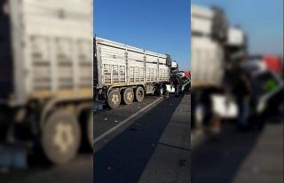 İki çekici çarpıştı; 1 ağır yaralı
