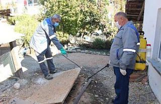 İlçelerde sinekle mücadele sürüyor