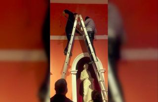 İmparatorlar salonunda yavru kedileri kurtarma operasyonu