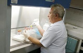 İneklerdeki 3 gün hastalığı için yeni aşı...