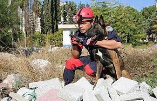 İnsan dostu köpekler zor günler için eğitiliyor