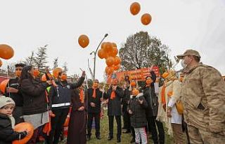 İpekyolu’nda gökyüzüne turuncu balonlar bırakıldı