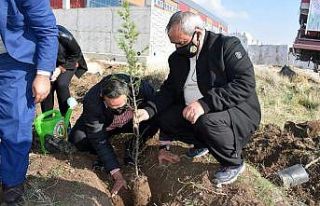 İscehisar’da 300 fidan dikildi