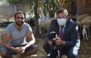 İŞKUR Aydın İl Müdürlüğü Türkiye genelinde...