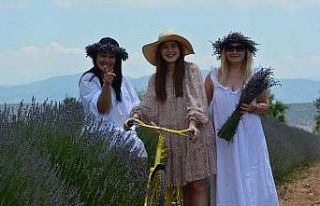 Isparta bu yıl lavanta turizminde 250 bin ziyaretçiyi...