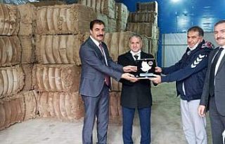 İstiridye mantarı yöre halkının yeni gelir kapısı...
