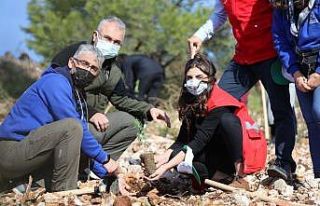 İzmir’de 30 noktada 20 bin fidan toprakla buluştu