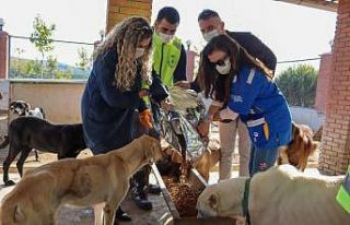 İzmir’deki can dostlar da unutulmadı