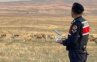 Jandarma 30 kayıp koyunu drone ile buldu