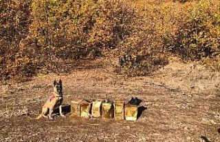 Jandarma Bitlis’te 100 kilogram patlayıcı madde...