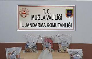 Jandarmadan kumarcılara 41 bin TL ceza