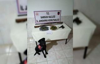 Jandarmadan uyuşturucu ve silah operasyonu
