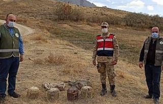 Kaçak avlanılan 4 kınalı kekliğe el konuldu