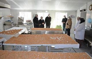Kadın çiftçiler hem üretiyor hem de ev ekonomilerine...