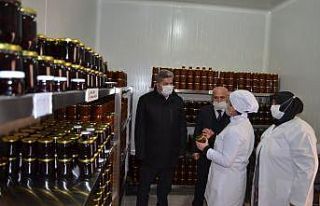 Kadın çiftçiler hem üretiyor hem de ev ekonomilerine...