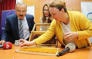 Kadın çiftçilerin arı sütü başarısı