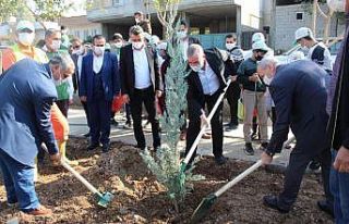 Kahta belediyesinden ağaç dikme etkinliği