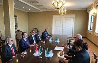 Kamu Başdenetçisi Malkoç, Nahçivan Ali Meclis...