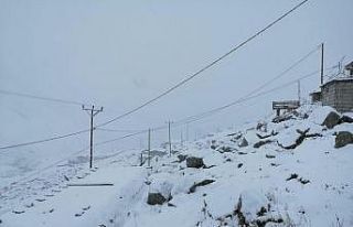 Kar Rize’nin yaylalarını beyaza bürüdü