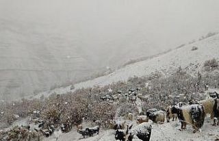 Kar yağdı dağda mahsur kaldılar