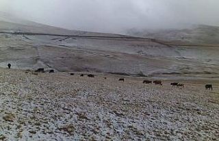 Karagöl Dağı’na mevsimin ilk karı yağdı