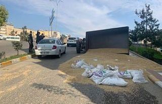 Karayolu buğday ambarına döndü