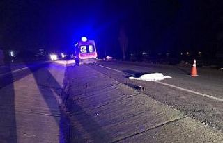 Karayoluna çıktı canından oldu