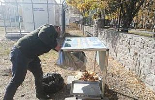 Kars’ta belediye sokak hayvanlarını unutmadı