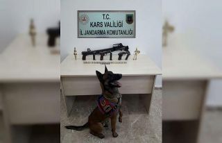 Kars’ta silah ve av tüfeği ele geçirildi