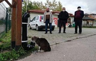 Kartepe’nin sevimli dostlarına yeni kaplar