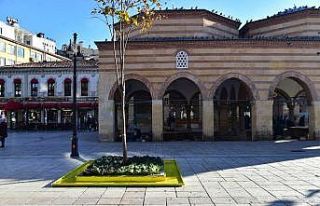 Kastamonu’da güvercinler için ağaç diplerine...
