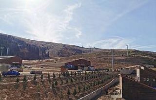 Kayak tesisine bin 100 ağaç