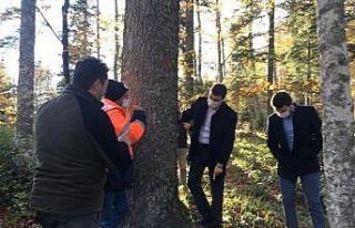 Kaymakam Erdem ve cumhuriyet savcıları ormanda damga...