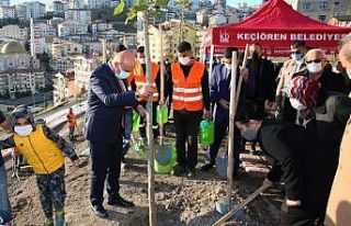 Keçiören’de fidanlar toprakla buluştu
