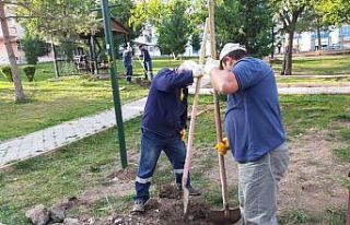 Keçiören’in parkları kış çiçekleri ile donatıldı