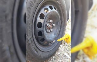 Kediler öyle bir yerde sıkıştı ki, görenler...
