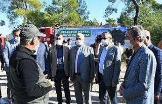 Kemer’de fidan dikim etkinliği