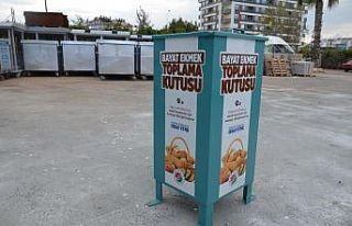 Kepez’de bayat ekmekler sokak hayvanlarına mama...