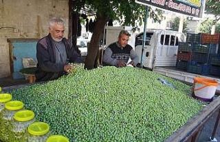 Kilis’te yerli sofralık zeytin piyasada