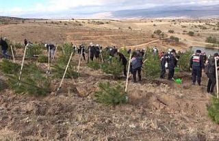 Kırıkkale’de ‘Geleceğe Nefes’ için 25 bin...