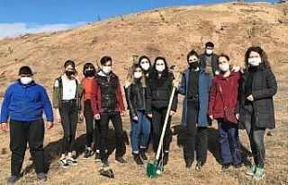 Kırıkkale’nin ilçelerinde ‘Milli Ağaçlandırma...