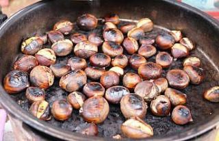 Kış akşamlarının yiyeceği kestane ilgi görüyor