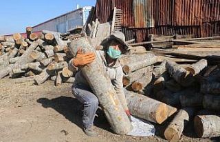 Kışı iple çeken odun ardiyelerini, doğalgaz vurdu