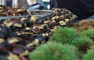 Kışın habercisi kestaneciler ocaklarını yaktı