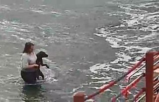 Kıyafetleri ile denize girip köpeği ölmekten kurtardı