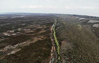 Kızılırmak Deltası alarm veriyor