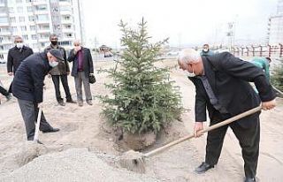 Kocasinan mesaiye ağaç dikerek başladı