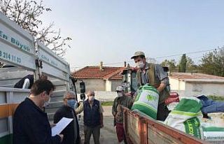 Kofçaz’da yem bezelyesi tohumu dağıtıldı