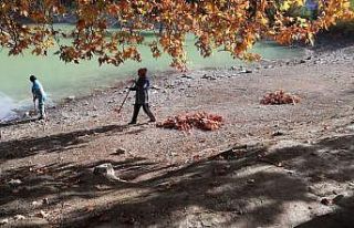 Kolak Gölü’nde belediye ekipleri temizlik çalışmaları...