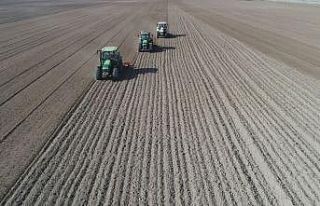 Konya Büyükşehir 700 bin metrekare araziyi üretime...